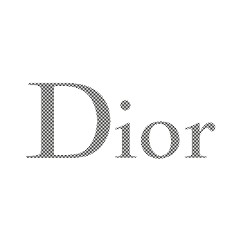 LVMH Dior  InProcess - A Human-Centered Innovation Agency